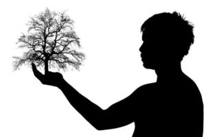 Seitenbild Halbschatten eines Mannes. Silhouette eines Mannes auf weißem Hintergrund. Konzept, die Welt zu lieben, schützt die Umwelt. Silhouette einer Person, die einen Baum in der Hand hält foto