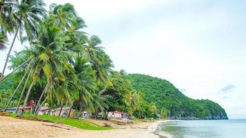 Kokospalme am Strand und am Himmel foto