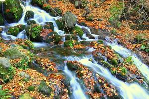 Fluss in yedigoller foto