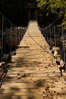 Holzbrücke im Wald foto