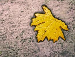 Detail des Zementbodens im Naturgarten foto