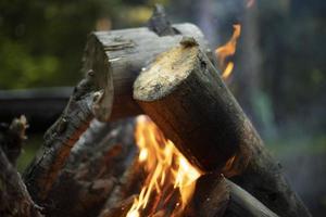 Lagerfeuer im Wald. Verbrennung trockener Zweige. foto