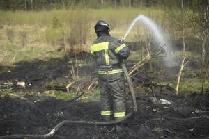 Feuerwehrmann löscht Wald. Rettungsschwimmer gießt Wasser aus Schlauch. Arbeit des Rettungsdienstes. foto