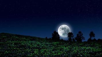 Vollmond über dem Horizont foto