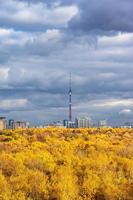 graue Regenwolken über üppig gelbem Wald und Stadt foto