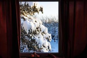 Blick auf den verschneiten Hinterhof durch das Fenster foto