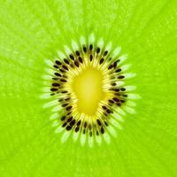 Frische Kiwi-Fruchtscheiben Nahaufnahme Makro Textur Hintergrund foto