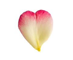 Herzform Rosenblätter isoliert auf weißem Hintergrund mit Beschneidungspfad foto