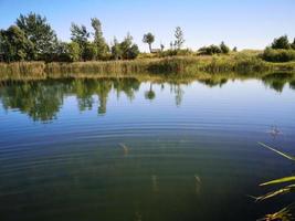 ein von Bäumen umgebener Fluss oder See foto