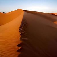 Sanddünen in der Sahara foto