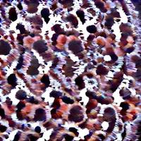 Leopardenfellmuster. afrikanisches Design. modisches Textilmuster foto