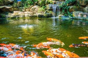 Wasserfälle im japanischen Garten. Üppig grüner tropischer Koi-Teich mit Wasserfall von jeder Seite. ein üppiger grüner Garten mit Wasserfall, der die felsigen Steine hinunterstürzt. Zen und friedlicher Hintergrund. foto