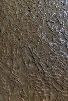 Die Textur von Fußspuren auf rauem, nassem Schlammboden im Mangrovenwald foto