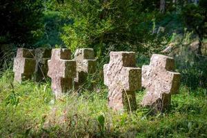 sehr alte Grabsteine aus rotem Sandstein, die mit Gras und Unkraut überwuchert sind foto