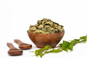 ayurvedisches neem oder azadirachta indica oder ayurveda trockene grüne blätter lokalisiert auf weißem hintergrund foto