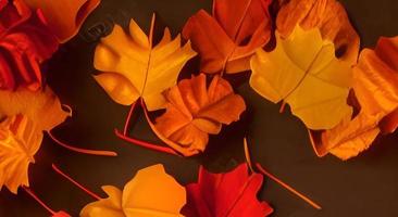 Herbstlandschaft mit leuchtend bunten Blättern. Indischer Sommer. Laub. foto
