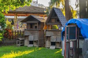 Katzenhaus aus Holz im Garten foto