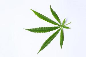 Cannabisblatt auf weißgrauem Hintergrund, Cannabishanfblätter oder Marihuanablattpflanze - Draufsicht foto