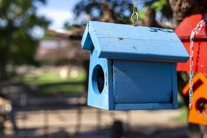 Kleines Holzhaus, das auf den Ästen blau gestrichen ist, damit die Vögel nisten können foto