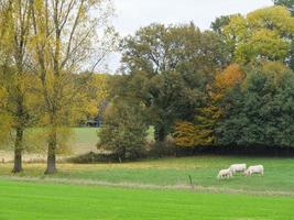 Herbstzeit in Westfalen foto