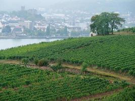 Rüdesheim am Rhein foto