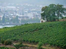 Rüdesheim am Rhein foto