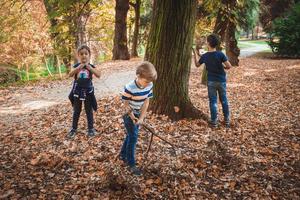 Gruppe von Kindern, die am Herbsttag in der Natur spielen. foto