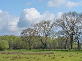 Wandern in der Dingdener Heide foto