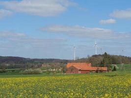 Wandern in den deutschen Baumbergen foto