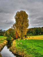 Herbstzeit in Westfalen foto