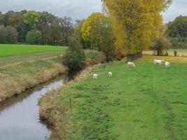 Herbstzeit in Westfalen foto