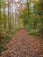 Herbstzeit in Westfalen foto