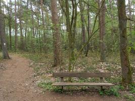 Wandern in der Dingdener Heide foto