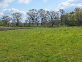 Wandern in der Dingdener Heide foto