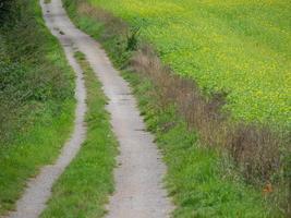 Wandern in den deutschen Baumbergen foto