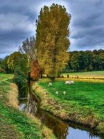 Herbstzeit in Westfalen foto