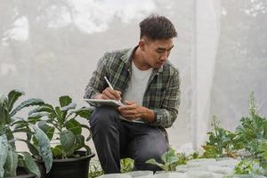 asiatischer Bauer im Gemüse-Bio-Bauernhof. männliche gärtner verwenden tabletten, um die wachstumsqualität von gemüse auf dem bauernhof zu überwachen. Hydroponisches Bio-Bauernhof-Konzept. foto
