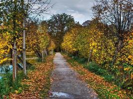 Herbstzeit in Westfalen foto