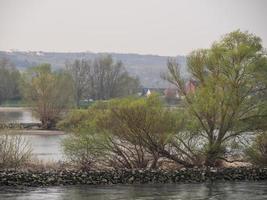 Der Rhein in Deutschland foto