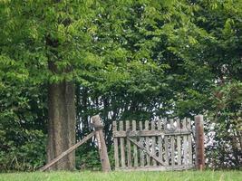 Wandern in den deutschen Baumbergen foto