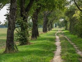 Wandern in den deutschen Baumbergen foto