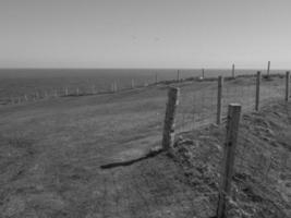 die Insel Shetland foto