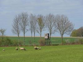 Wandern in den deutschen Baumbergen foto