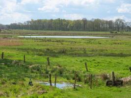 Wandern in der Dingdener Heide foto