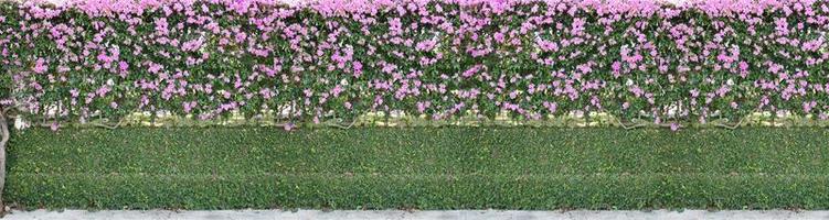 grüne blätter wand hintergrund mit blumen foto