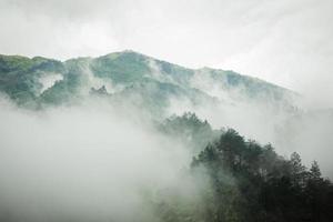 dunkler berg, kiefernwald mit nebel foto