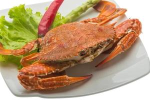 gekochte Krabbe auf dem Teller und weißem Hintergrund foto