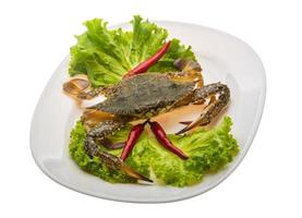 rohe Krabbe auf dem Teller und weißem Hintergrund foto