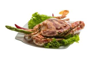 rote Krabbe auf dem Teller und weißem Hintergrund foto