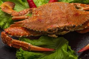 gekochte Krabbe auf dem Teller Nahaufnahme foto